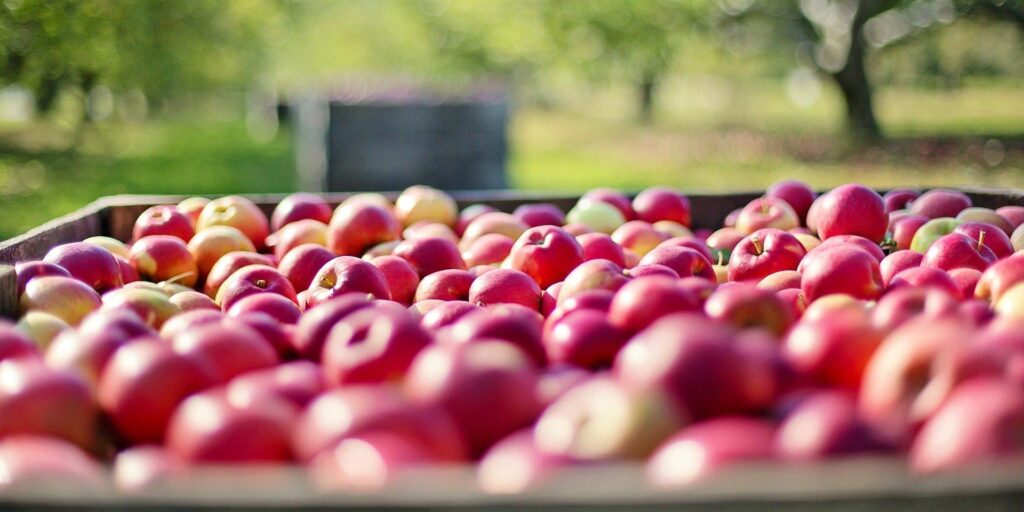 apples-1004886-1920-1920x960-crop-1587619495